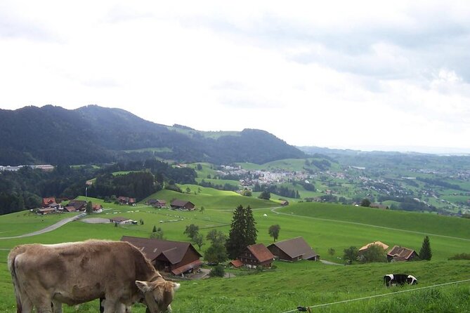 11-Day Private Lite Tour Across Switzerland by Bike from Geneve - The return through Bern takes most of a day