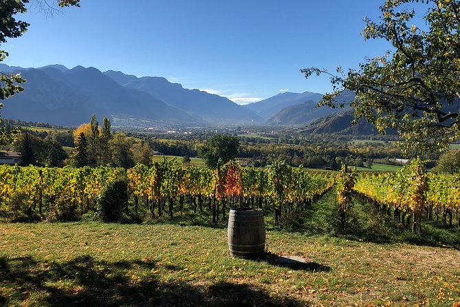 3 Hour Unique Wine Tour - Half Day in Swiss Alps - Why Maienfeld makes a good wine base