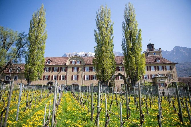 3 Hour Unique Wine Tour - Half Day in Swiss Alps - What the three-hour route includes