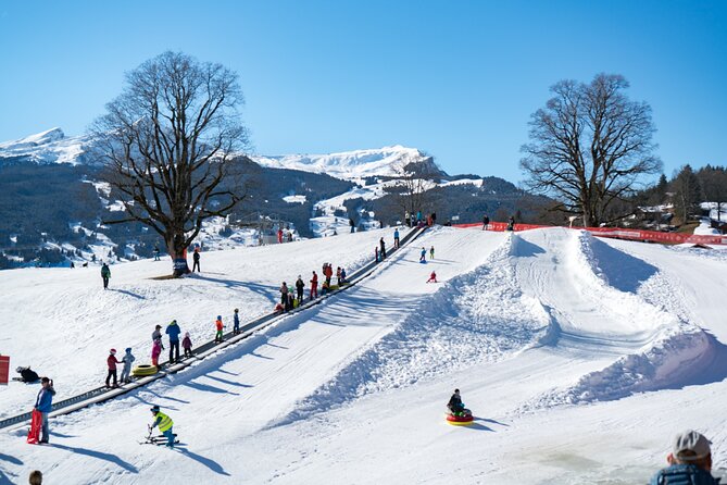 Afternoon Beginner Package Ski in Interlaken - Key points at a glance