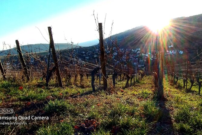 Alsace wine tour and medieval villages. Small group guided tour - Half-day or full-day: choose carefully