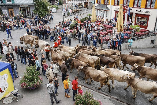 Appenzell and Liechtenstein Tour from Zurich - Appenzell and its painted wooden streets