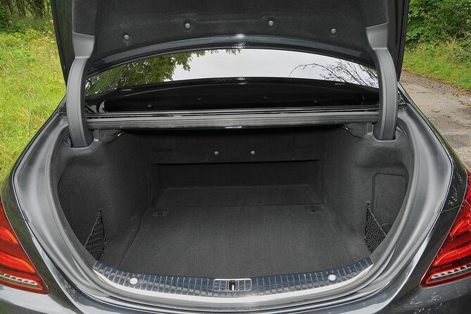 Arrival from Basel Airport BSL to Basel City by Luxury Vehicle - Choosing between the Mercedes V Class and S Class