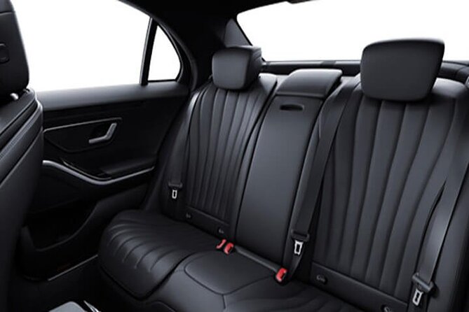 Arrival from Basel Airport BSL to Basel City by Luxury Vehicle - Help for families, older passengers, and first-time visitors
