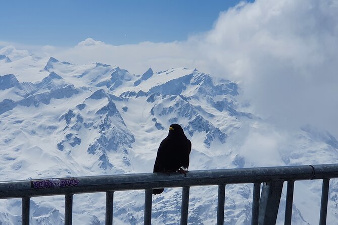Attraction Ticket: Mt. Titlis by Train and Cableway from Lucerne - A Four-Hour Mountain Outing