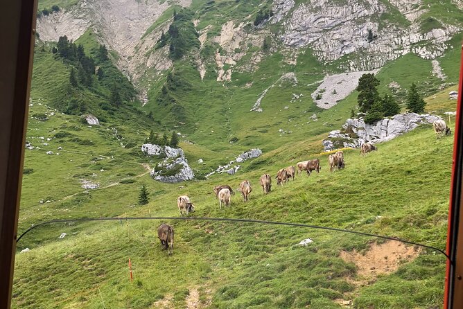 Basel Private tour - Mt. Pilatus and Cruise on Lake of Lucerne - Descending by the world’s steepest cogwheel railway