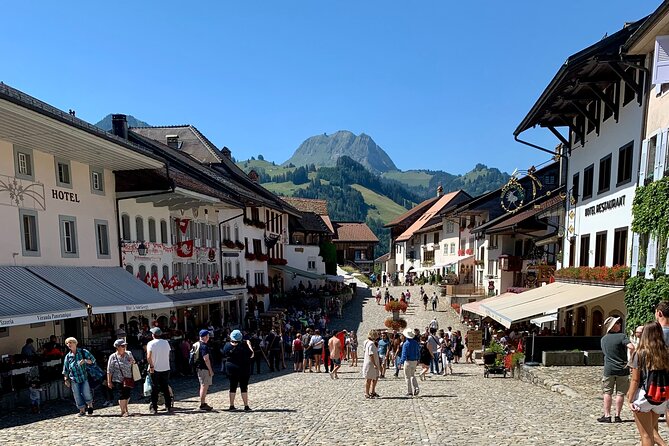 Bern Private Tour - Gruyères , Cheese, and Lavaux's UNESCO Wine - What the $756.74 Price Really Buys