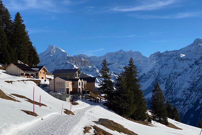 Best of the Uri Alps: A fjord-like lake, glorious peaks and sustainable tourism - Postal buses and rural villages