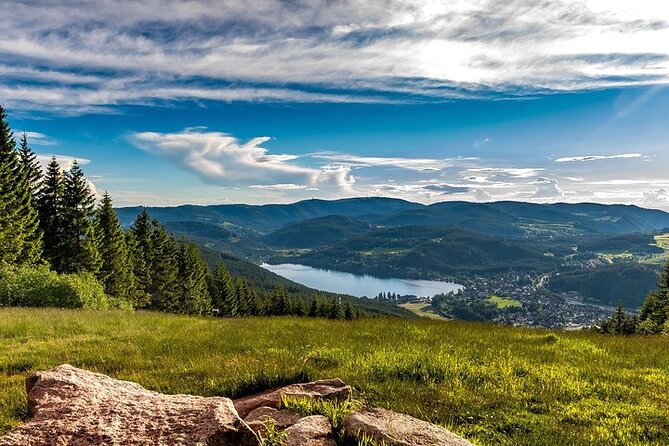 Black Forest and Rhine Falls Day Trip from Zurich - How the guide and group size shape the day