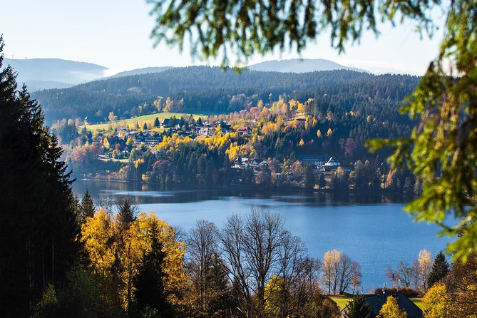 Black Forest and Rhine Falls Day Trip from Zurich - Who should book this day trip?