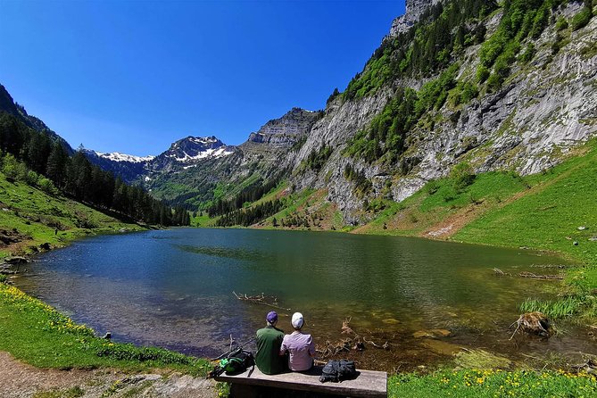 Breathtaking Private Hike with a Local Swiss Expert (1 day trip) - Uri offers the strongest Alpine option