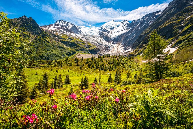 Chamonix and Mont Blanc Private Day Trip from Geneva - What the day from Geneva actually feels like