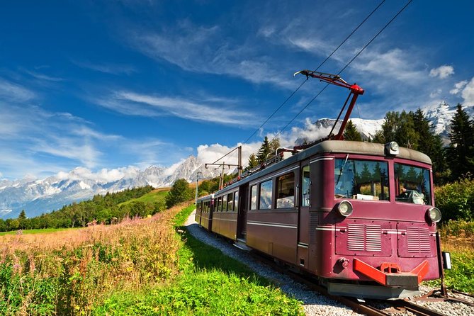 Chamonix and Mont Blanc Private Day Trip from Geneva - Who should book this Chamonix day trip?