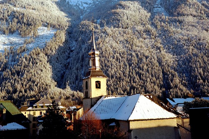 Chamonix Day Trip and Geneva City Tour - Who should book this day trip?