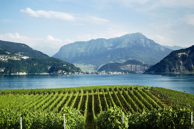 Chocolate, Cheese and Wine Tour in Luzern region - Adding a town, village, or natural attraction