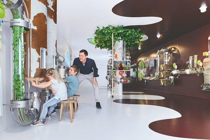 Chocolate factory Individual experience tour - Key points at a glance