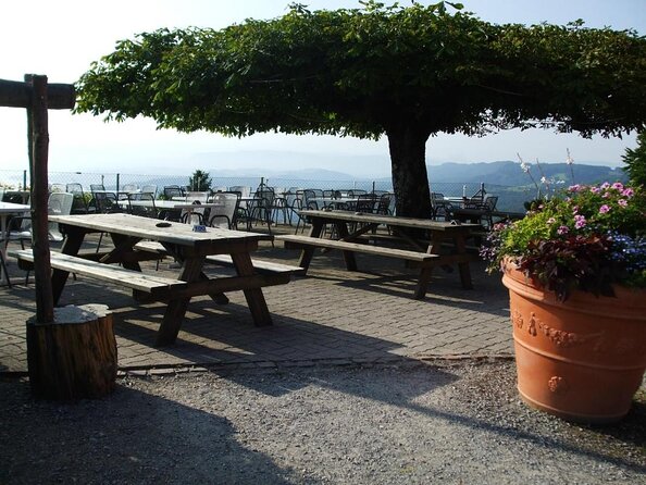 Culinary Tour from Zurich with Traditional Swiss Cheese Fondue Dinner - Key points to know before booking