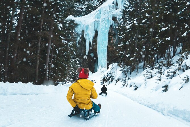 Day Sledding in Interlaken - Key points to know before booking