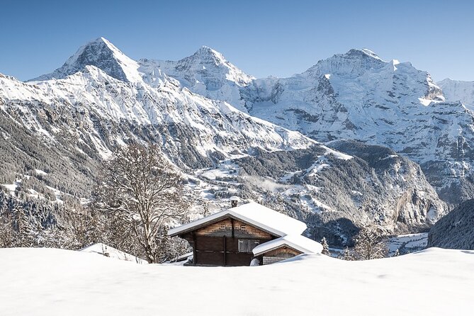 Day Sledding in Interlaken - From Wilderswil to the mountain village