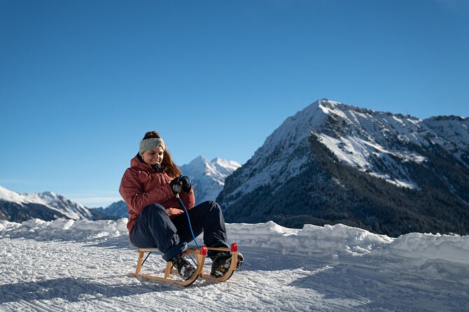 Day Sledding in Interlaken - Guides who shape the day