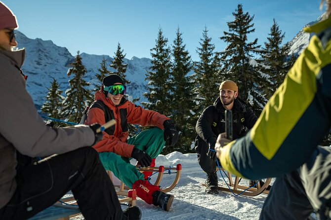Day Sledding in Interlaken - Who will enjoy it most
