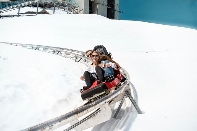 Day trip to Glacier 3000 from Montreux - Is the $125.58 Price Good Value?
