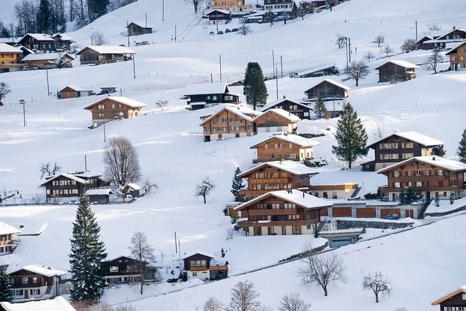 Daytrip to Jungfraujoch Top of Europe and Interlaken from Zurich - Guides, group size, and communication