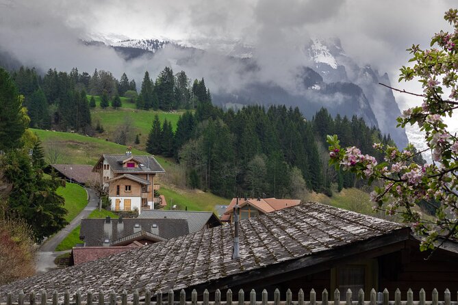 Daytrip to Swiss Villages: Interlaken Grindelwald & Lauterbrunnen - Who should choose this day trip?
