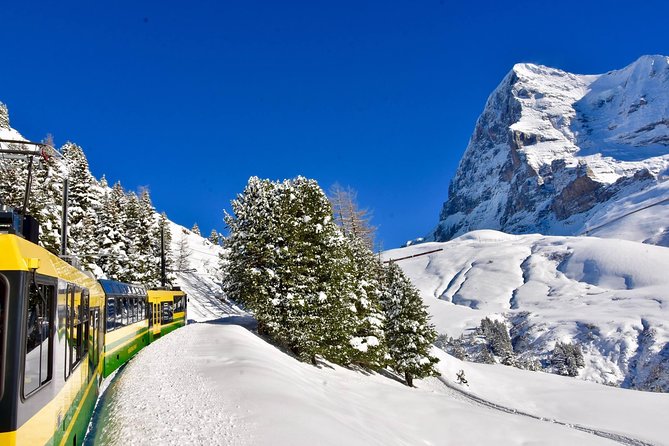 Eiger and Jungfrau Glacier Panorama Tour from Zurich - Three and a half hours beneath the Eiger