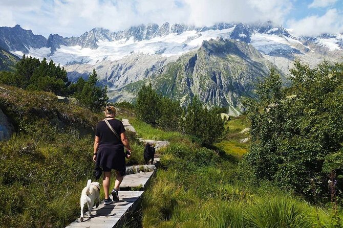 Full-Day Hiking Swiss Alps and Lake swim with Pick-up - A full alpine day, not a quick mountain photo stop