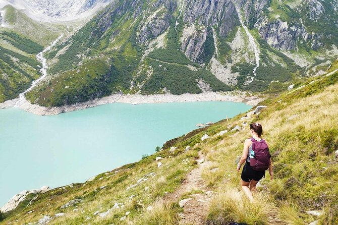 Full-Day Hiking Swiss Alps and Lake swim with Pick-up - The Lake Lucerne swim is weather dependent