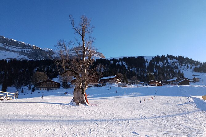 Fully organized Ski Experience for Private Groups - The guide and the human touch
