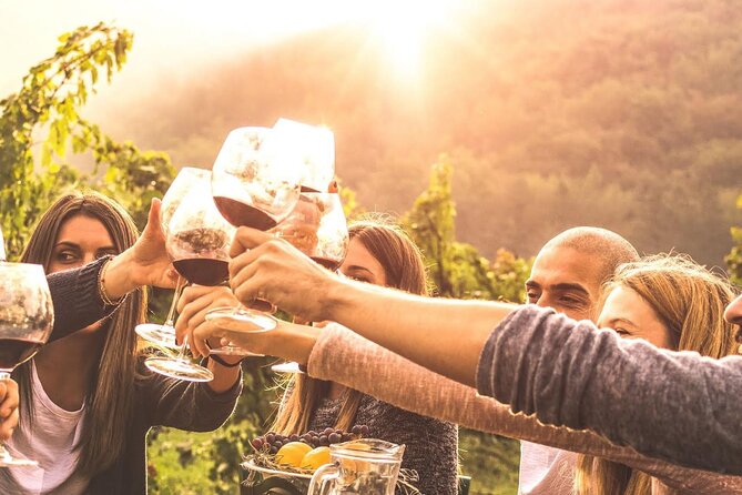 Geneva Countryside By E-Bike With Wine Tasting - Key points to know before you book