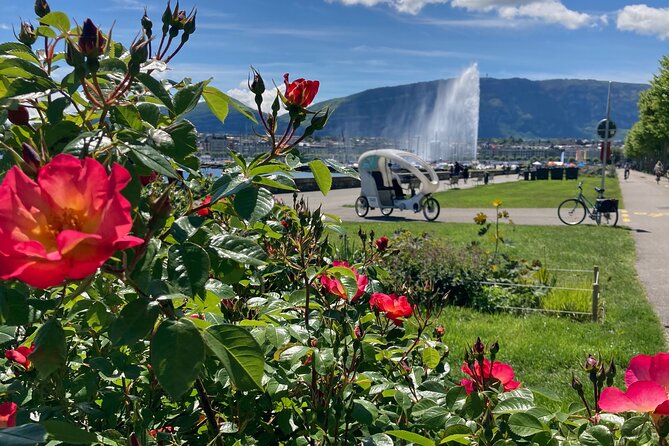 Geneva Highlights Tour by TaxiBike - Is $67.09 per person good value for one hour?