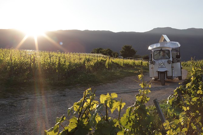 Geneva Panoramic & Tasting Vineyards Tour in an Tuk Tuk - Key points at a glance
