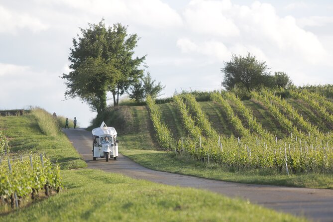 Geneva Panoramic & Tasting Vineyards Tour in an Tuk Tuk - The winery tasting is the heart of the outing