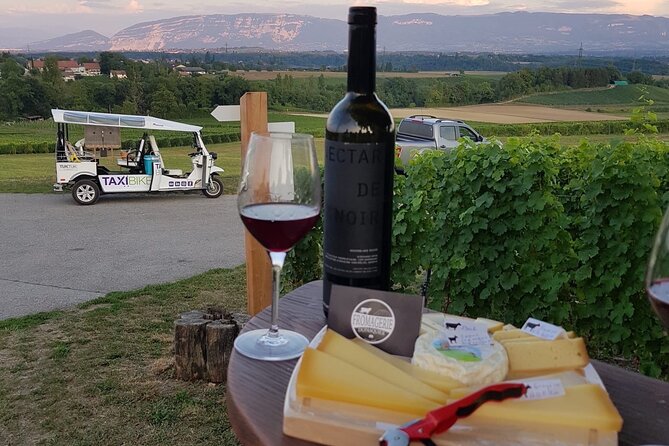 Geneva Panoramic & Tasting Vineyards Tour in an Tuk Tuk - Who will enjoy this Geneva wine outing