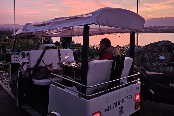 Geneva: Sightseeing of top Places Tour Electric TukTuk 1H15 tour - Why a tuk-tuk works well in Geneva