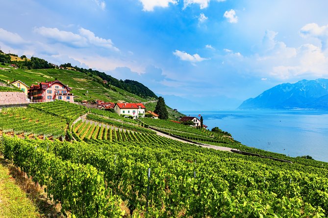 Geneva to Gruyère Private Day Trip. Cheese & Chocolate Tour - The guide question deserves attention