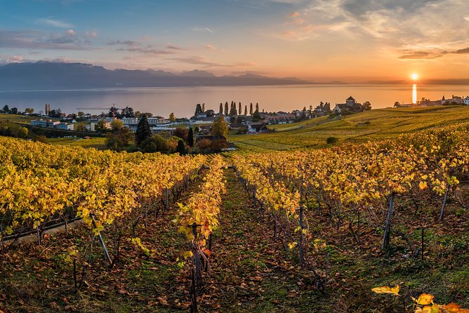 Geneva to Lausanne, Montreux and Château Chillon Private Tour - From Lausanne to Montreux by road or vintage boat