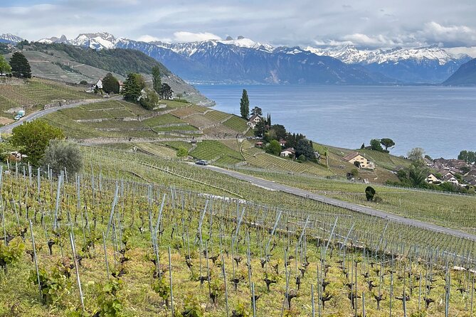 Gourmet Food and Wine Tasting Walk in Lavaux - Who should book this Lavaux experience?