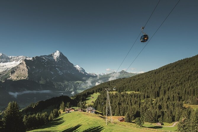 Grindelwald First - Top of Adventure from Lucerne - Interlaken gives you a short first look