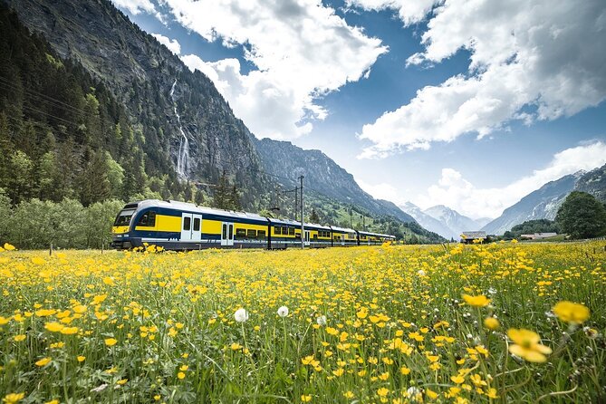 Grindelwald First - Top of Adventure from Lucerne - Starting beside Lucerne railway station
