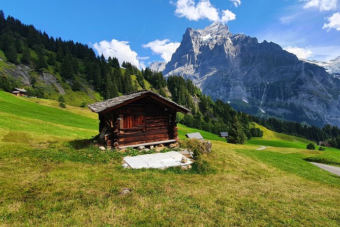 Grindelwald First (Top of Adventure) Ticket incl. Cliff Walk - Who will enjoy Grindelwald First most