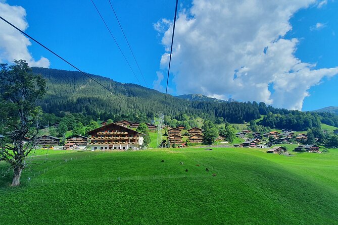 Grindelwald First (Top of Adventure) Ticket incl. Cliff Walk - What makes the First Cliff Walk worth your time