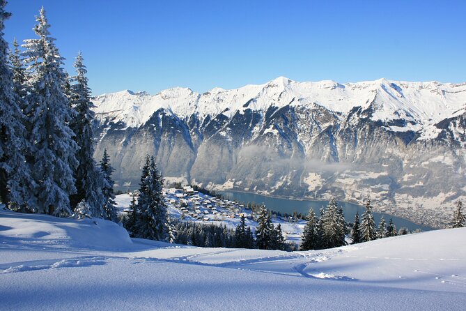 Grindelwald, Interlaken and Lauterbrunnen Day Trip from Lucerne - Grindelwald: the day’s real highlight