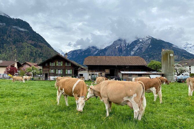 Grindelwald, Lauterbrunnen & Mürren Private Day Trip from Zurich - Lauterbrunnen shows Switzerland at its most dramatic