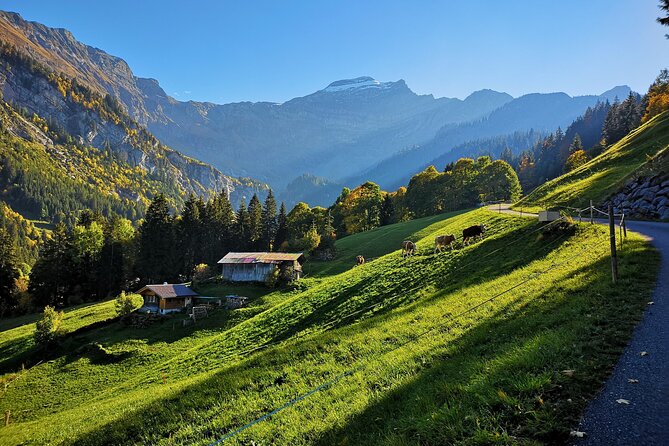 Guided Excursion to Jungfraujoch, Grindelwald and Lauterbrunnen from Lucerne - Four hours at Jungfraujoch, with a timing warning