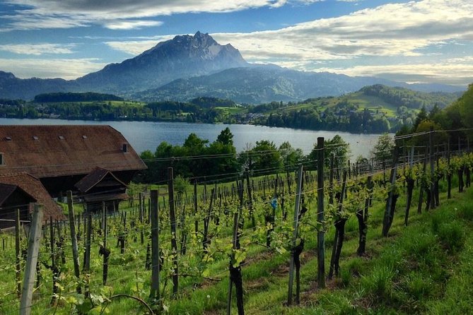 Half-Day Lake Lucerne Country Walk - A country walk beyond Lucerne’s postcard center