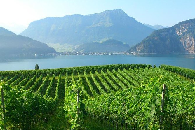 Half-Day Lake Lucerne Country Walk - Starting near Lucerne station